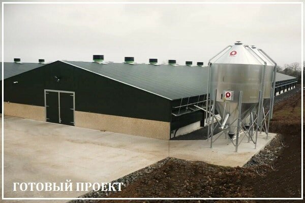 Этапы возведения птицефабрики от завода ВелесТент-бль